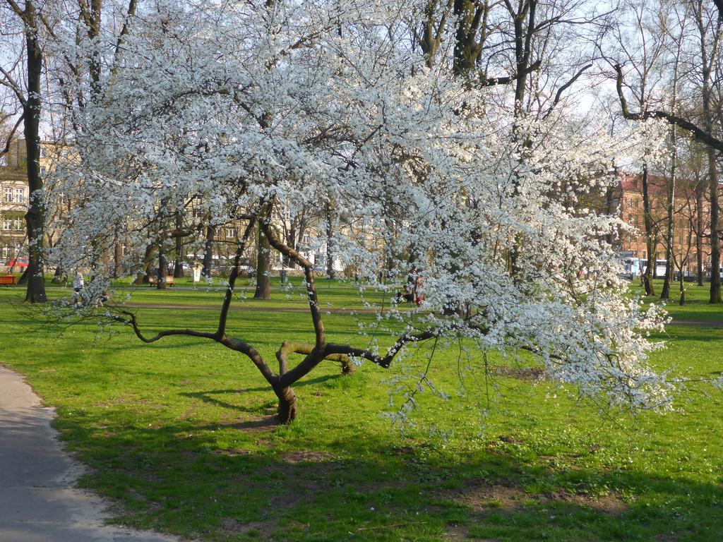 Garden Apartment Krasków Eksteriør bilde